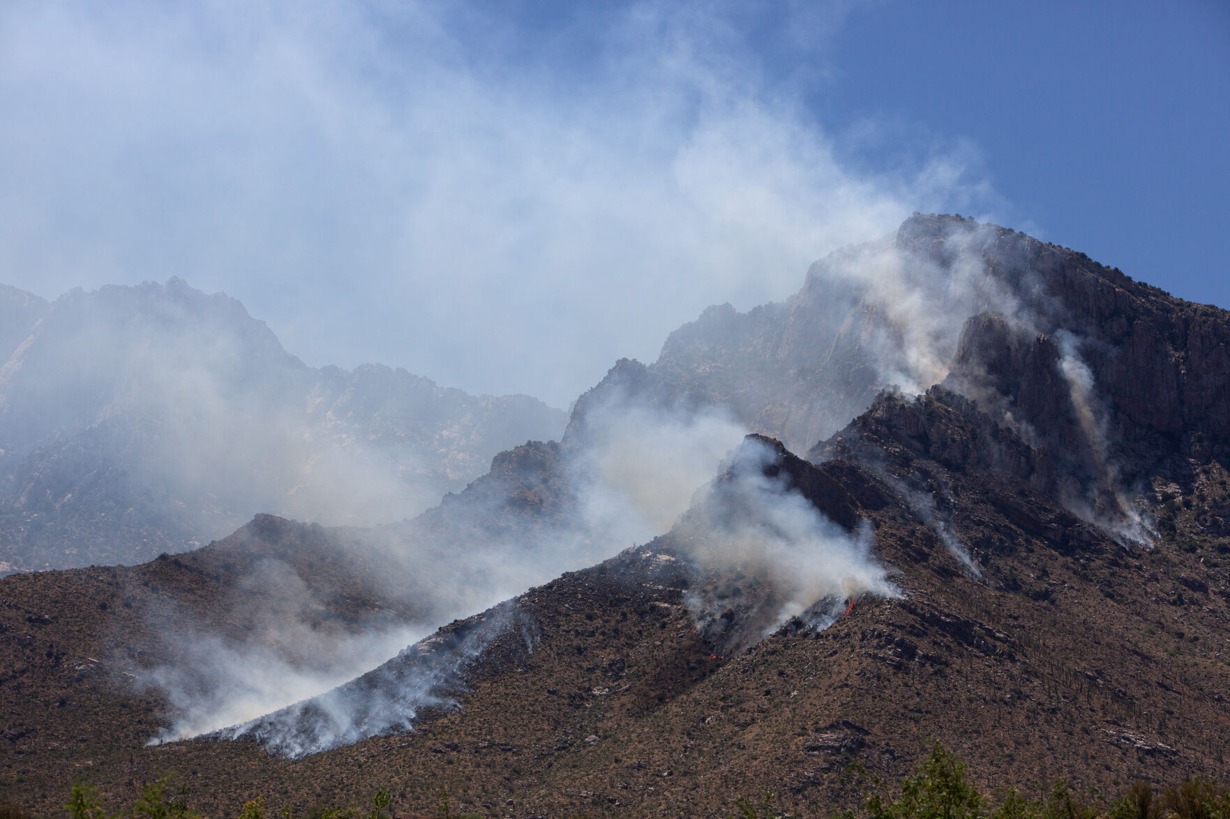 Bighorn Fire